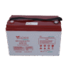 Apex Safepower 12 Volt 100 Ampere Gel Battery