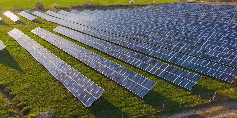farm solar panel